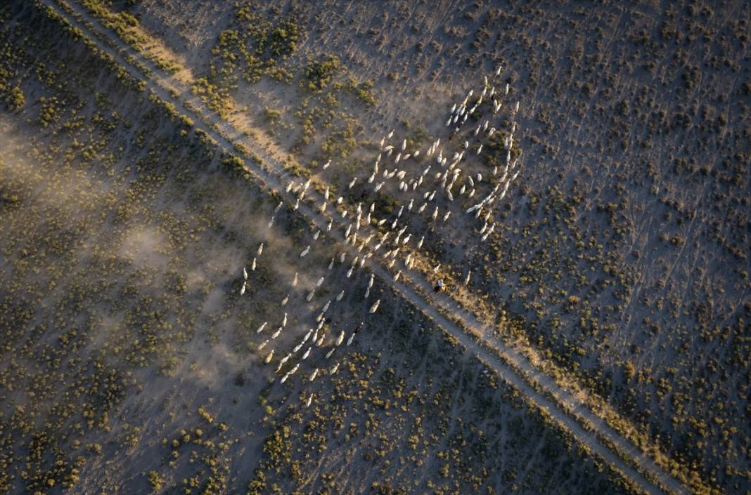 Konyalı besiciler kuraklığa çözüm buldu! Verim düşmeyecek 8